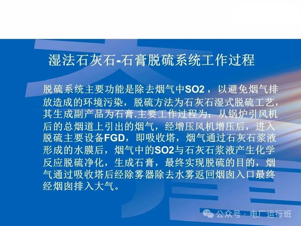 威海真空皮带脱水机