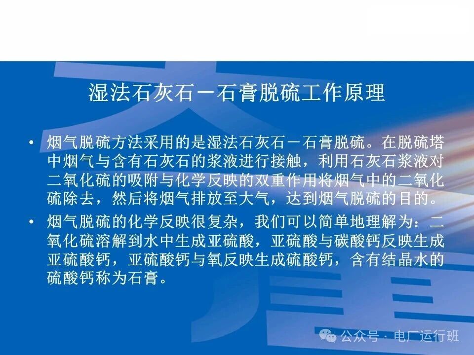 威海真空皮带脱水机