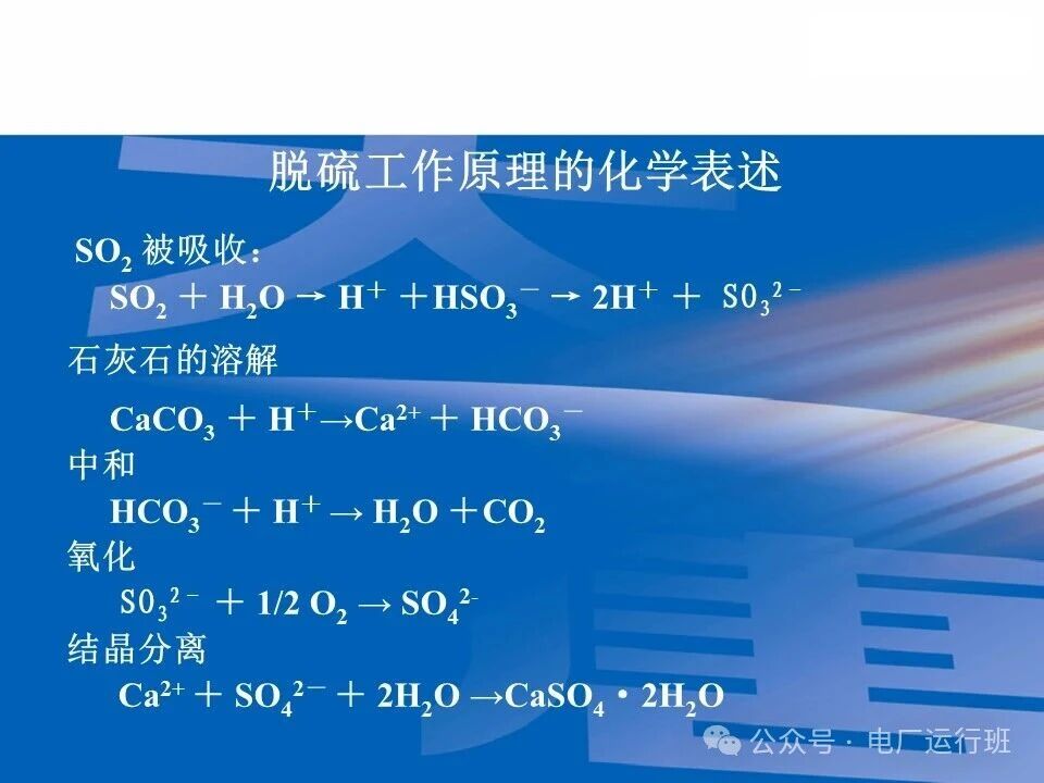 威海真空皮带脱水机