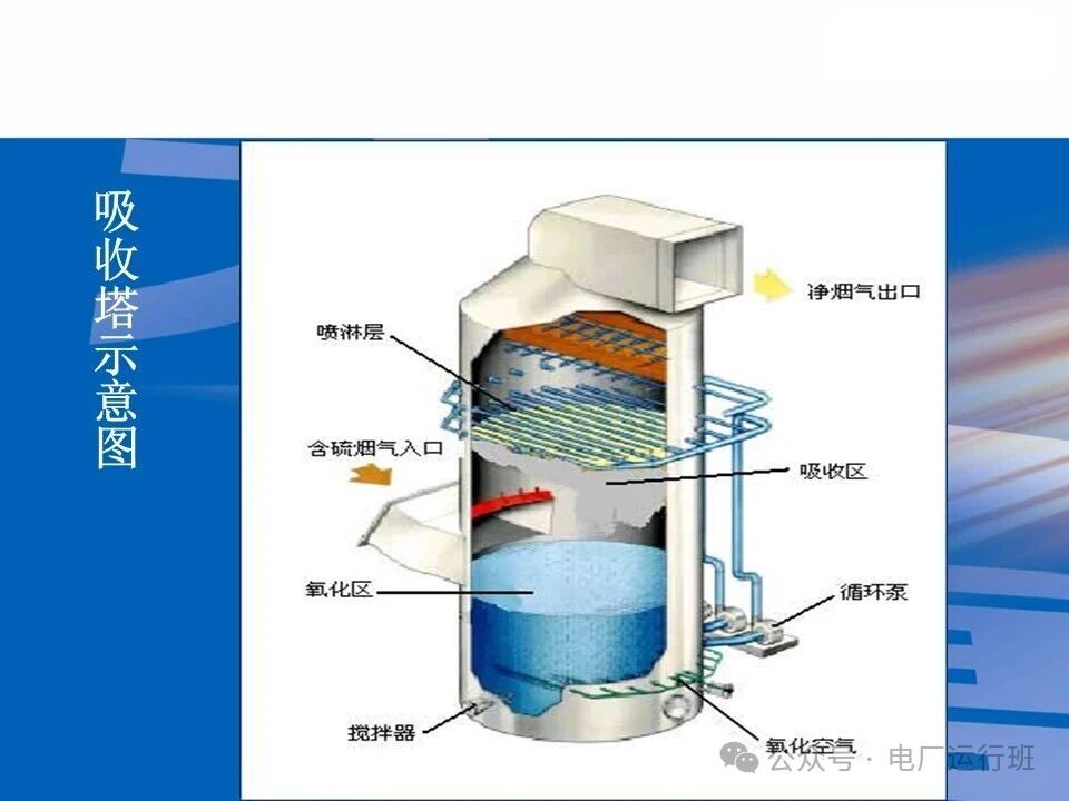 威海真空皮带脱水机