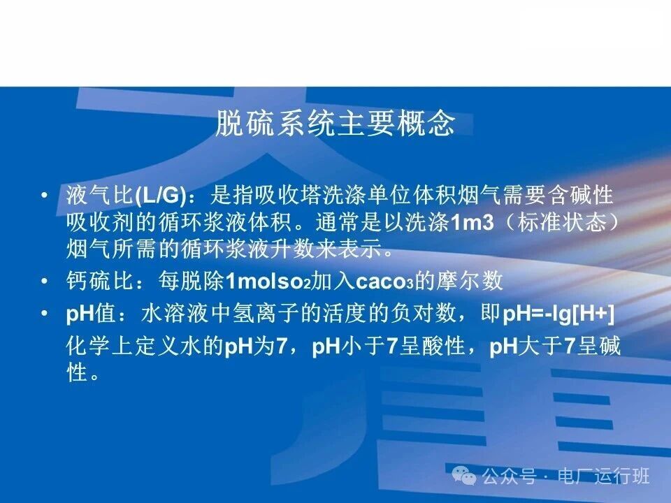 威海真空皮带脱水机