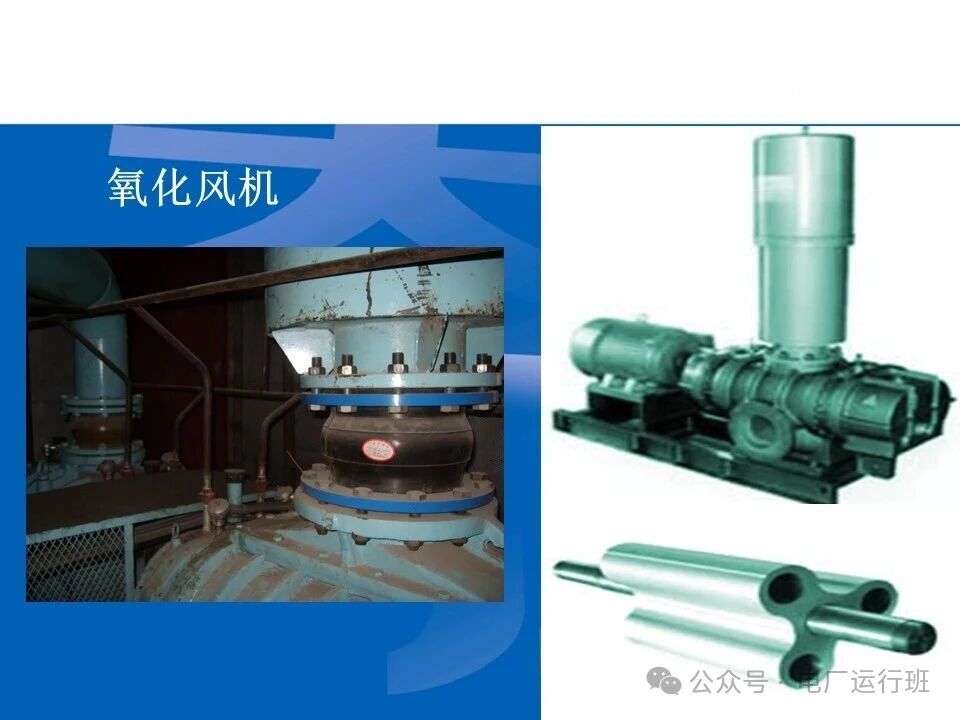 威海真空皮带脱水机
