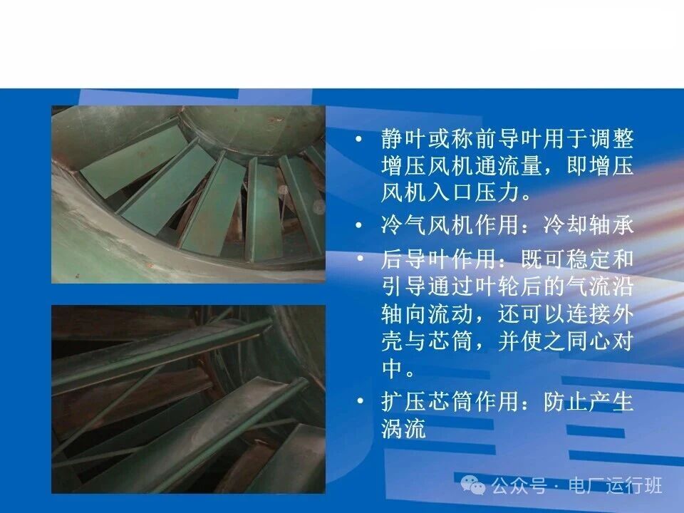 威海真空皮带脱水机