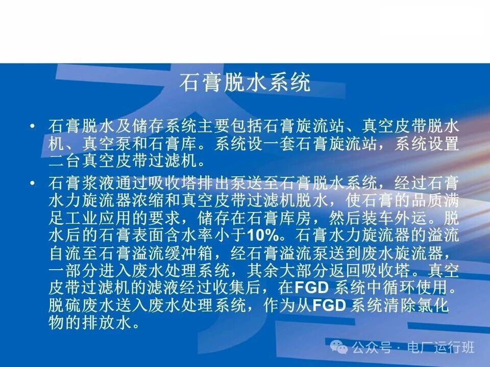 威海真空皮带脱水机
