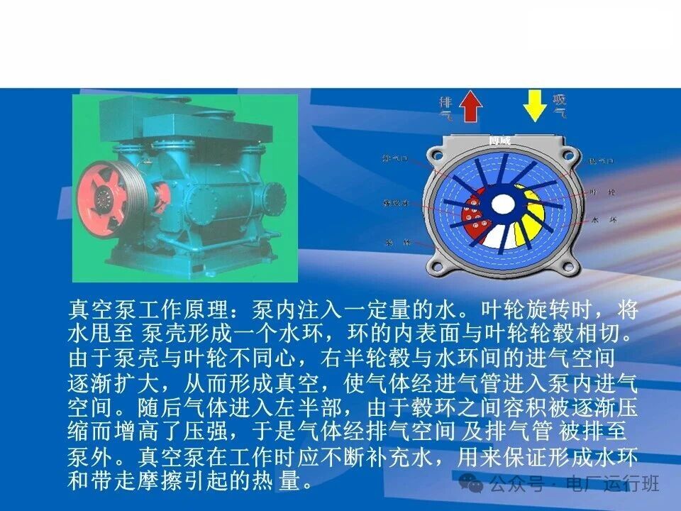 威海真空皮带脱水机