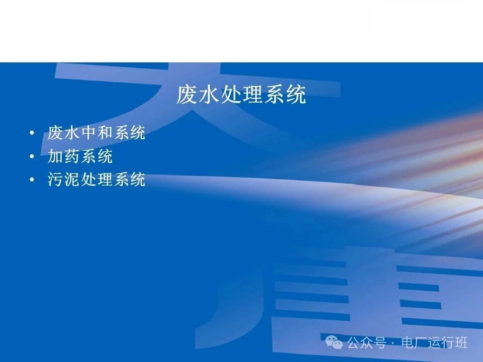 威海真空皮带脱水机