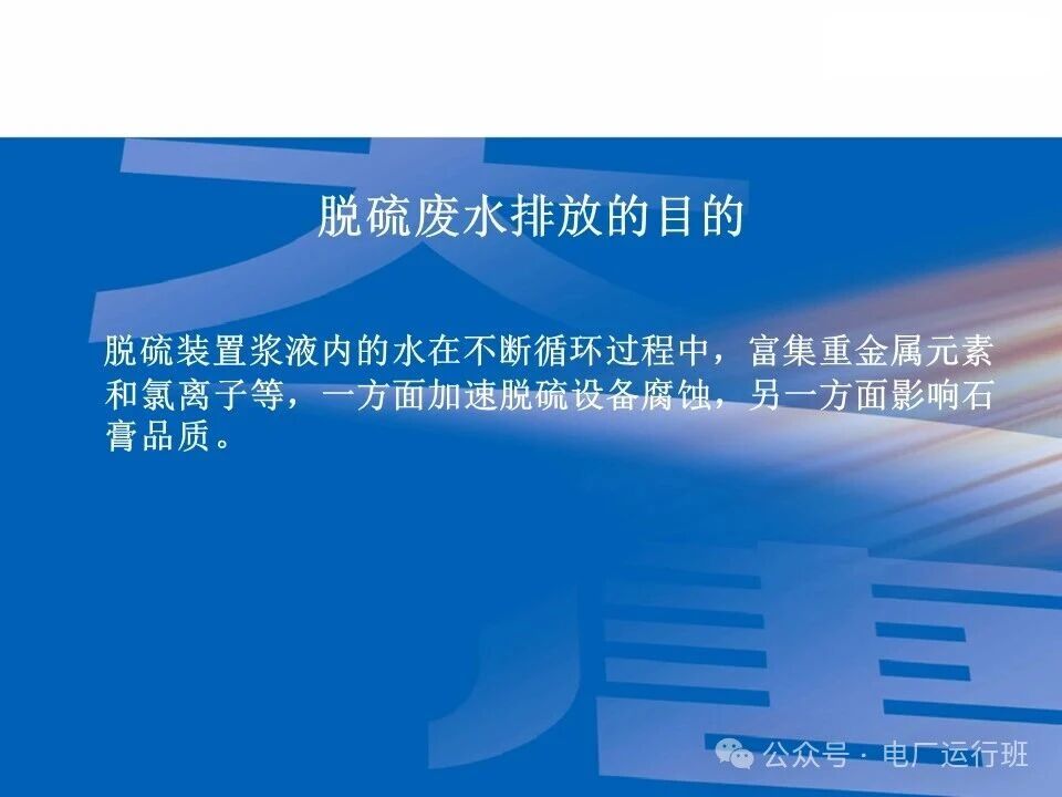 威海真空皮带脱水机