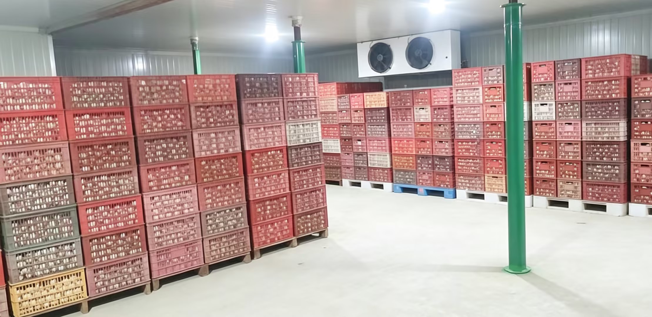环境
