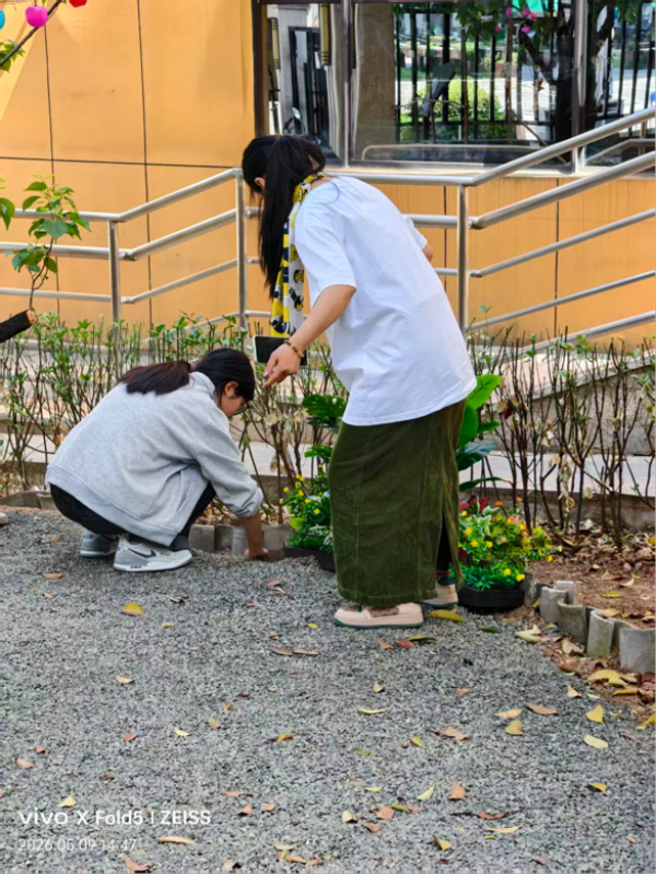 杨凌绿阳