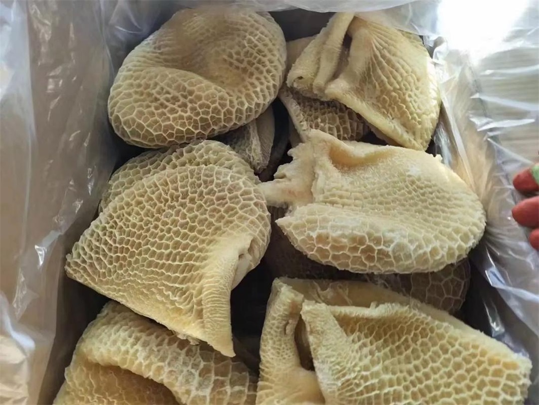 熟金 钱肚