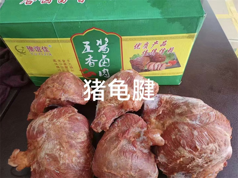 猪龟腱