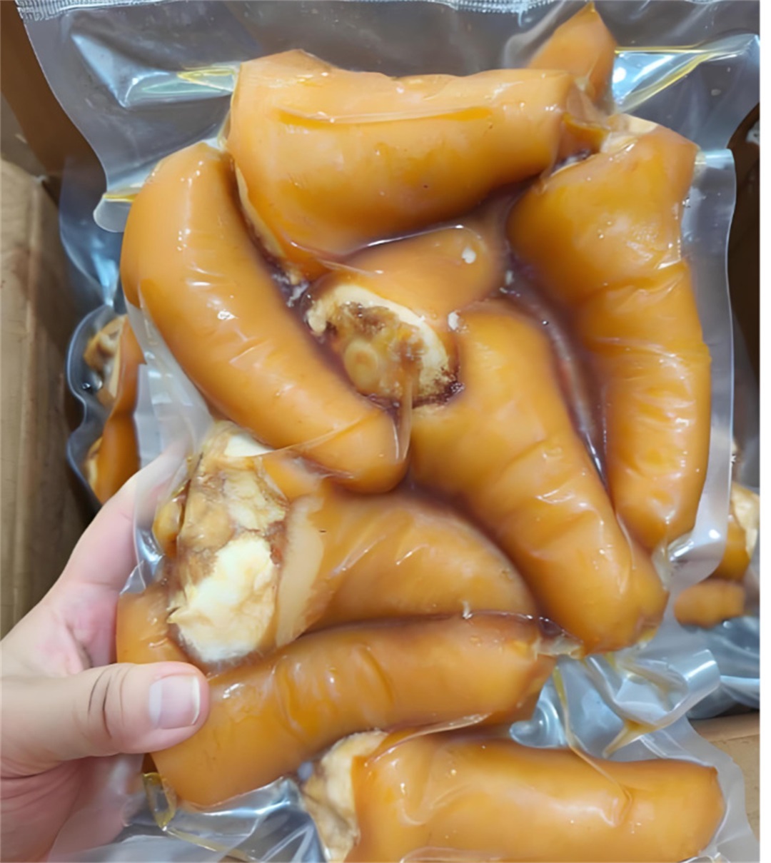 猪尾