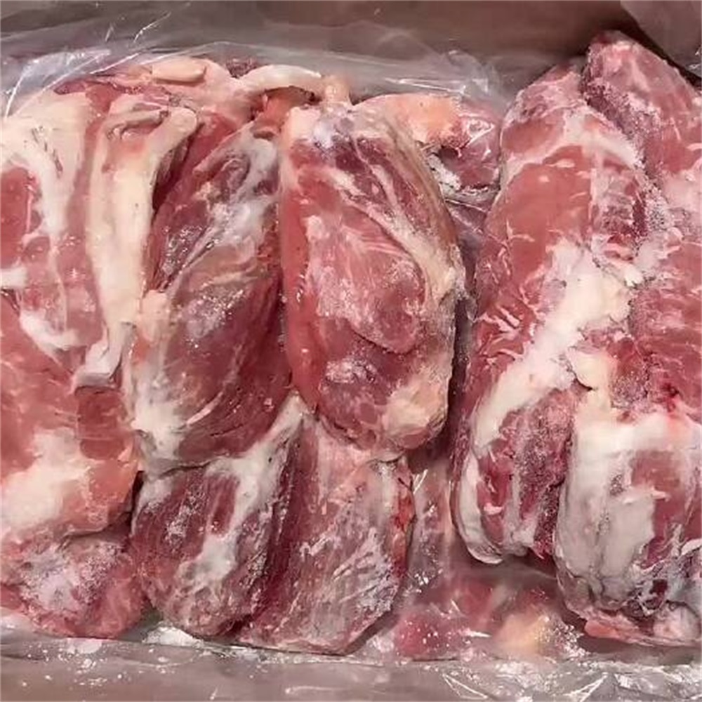 猪小健