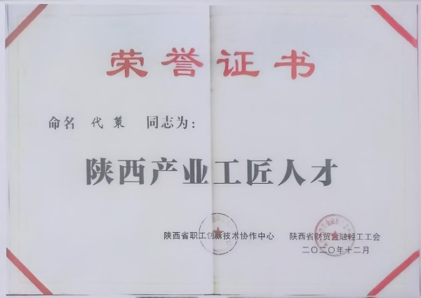 盛唐玉石艺术总监代策