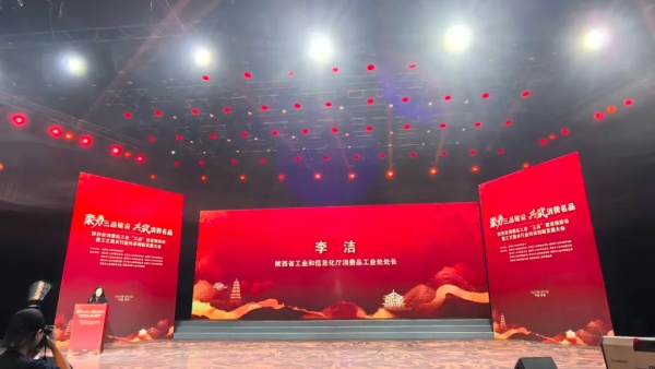 秦龙乳业集团