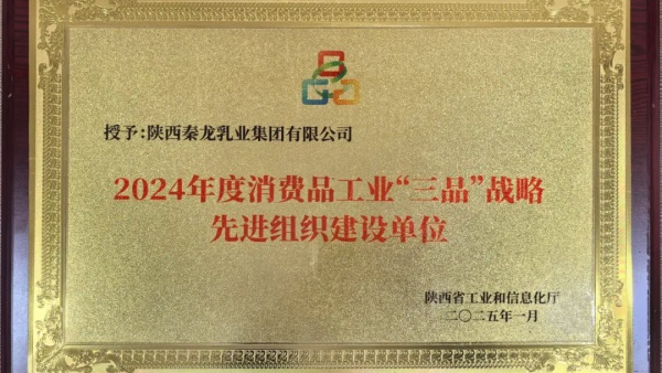 秦龙乳业集团