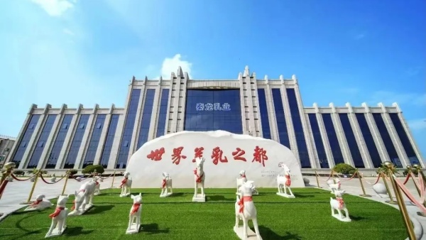 秦龙乳业集团