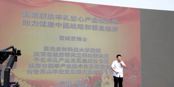 秦龙乳业集团