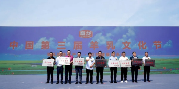 秦龙乳业集团