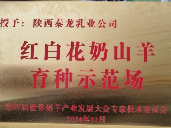 秦龙乳业
