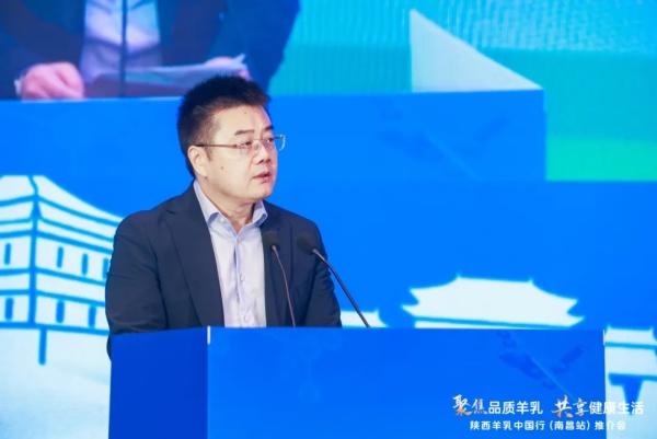 秦龙乳业集团