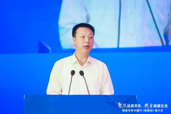 秦龙乳业集团