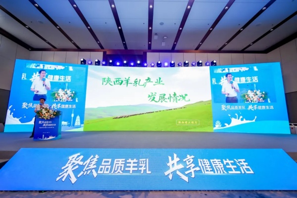 秦龙乳业集团