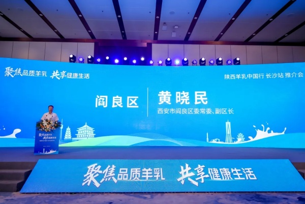 秦龙乳业集团