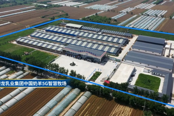 秦龙乳业集团