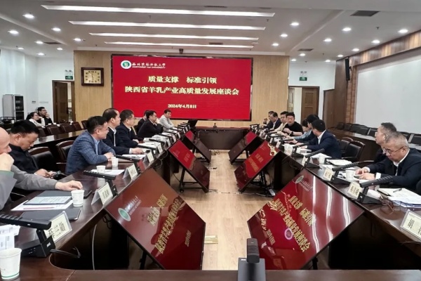 秦龙乳业集团