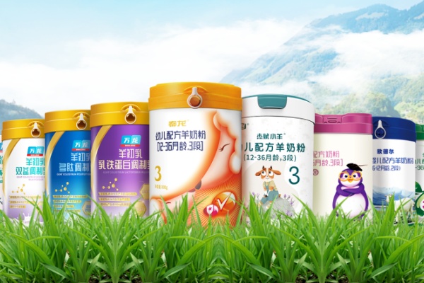 秦龙乳业集团