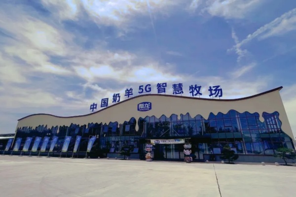 秦龙乳业集团