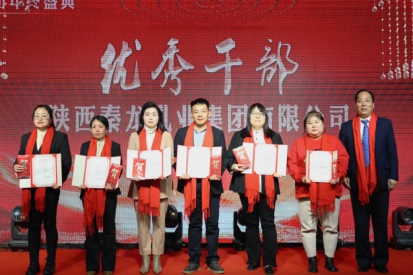 秦龙乳业集团