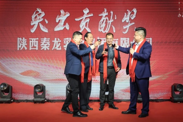 秦龙乳业集团
