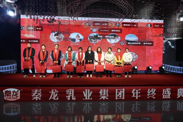 秦龙乳业集团