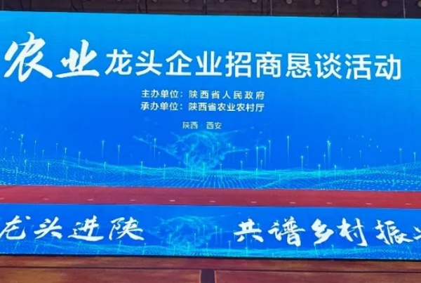 秦龙乳业集团
