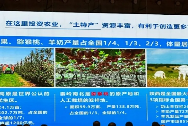 秦龙乳业集团