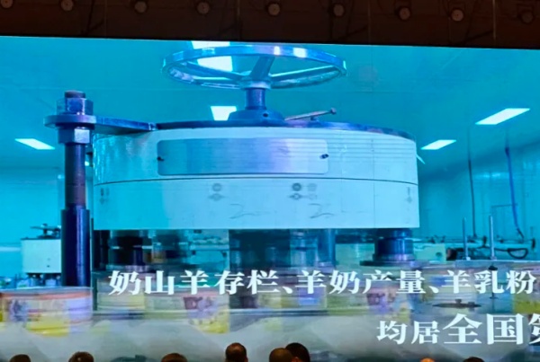 秦龙乳业集团