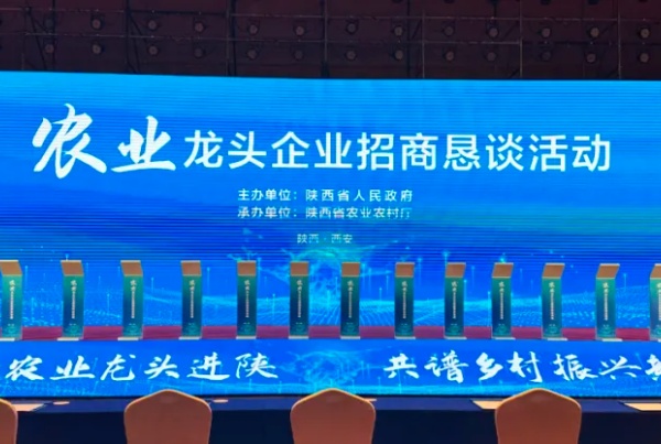 秦龙乳业集团