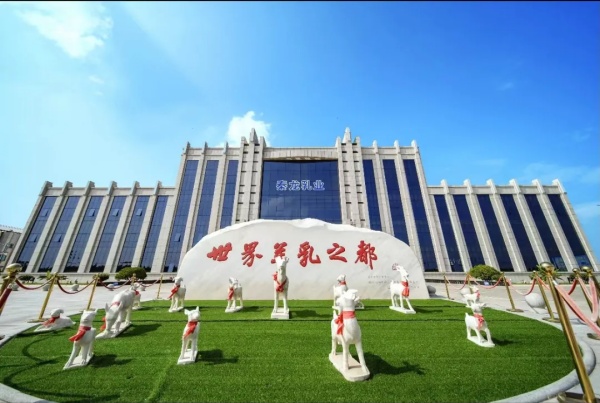 秦龙乳业集团