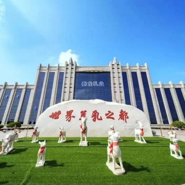 秦龙乳业集团