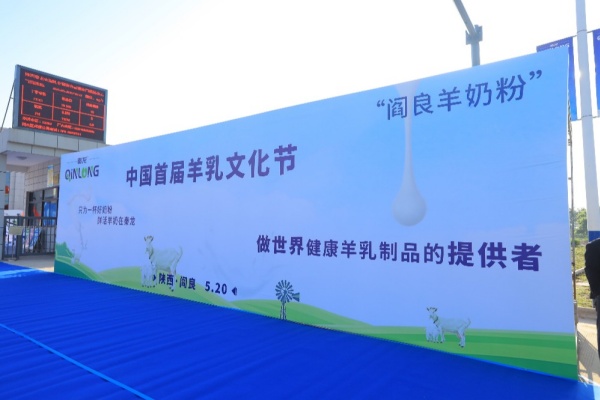 秦龙乳业集团