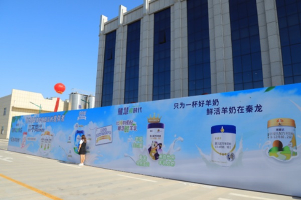 秦龙乳业集团