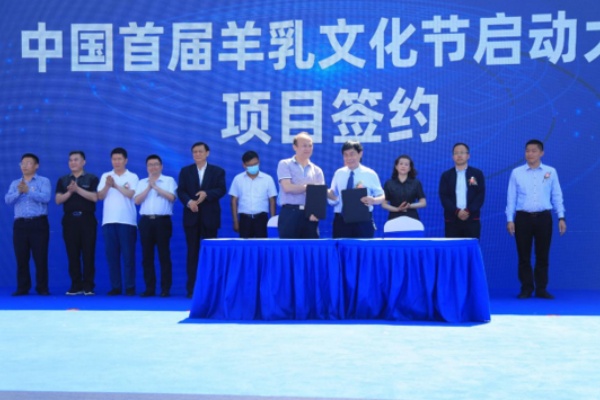 秦龙乳业集团