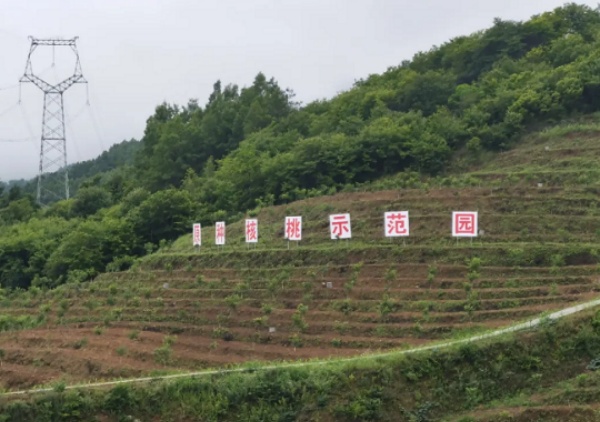 秦龙乳业集团