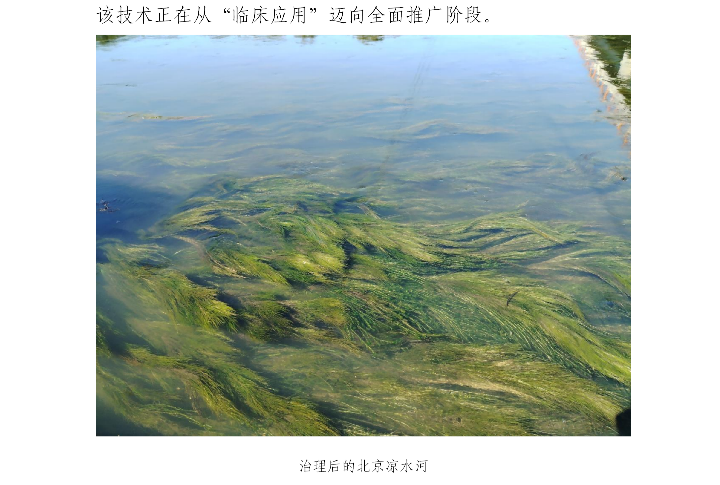1780557827215772.png 中华环保联合会