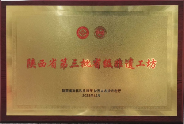 陕西匠心艺品非物质文化遗产传承有限公司