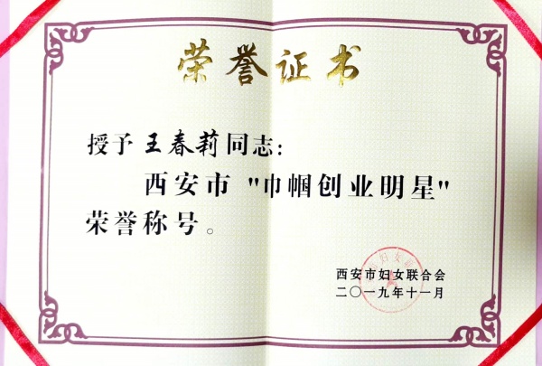 陕西匠心艺品非物质文化遗产传承有限公司