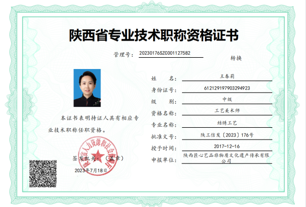 陕西匠心艺品非物质文化遗产传承有限公司