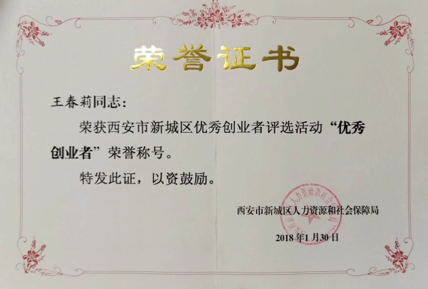 陕西匠心艺品非物质文化遗产传承有限公司